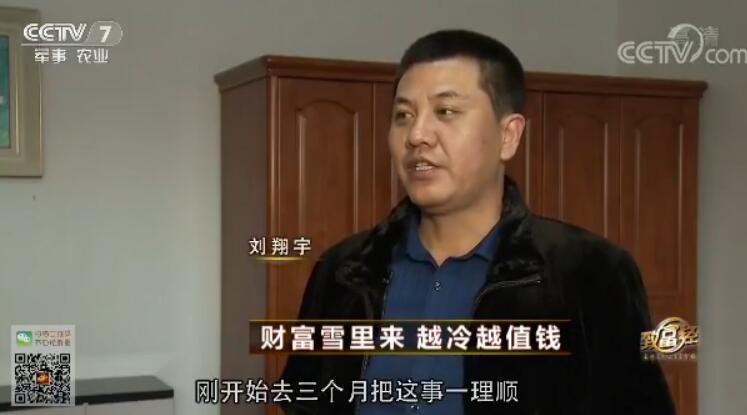 致富经 [致富经]财富雪里来 越冷越值钱 20180305