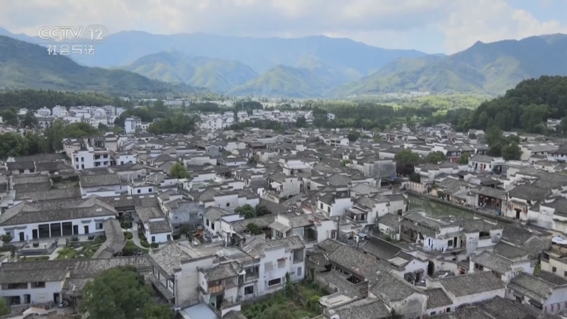 天网 《天网》 20250822 假日迷踪