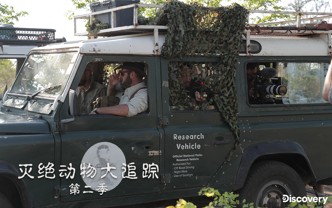 费尔南迪纳象龟