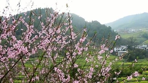 耳目一新 耳目一新20150702