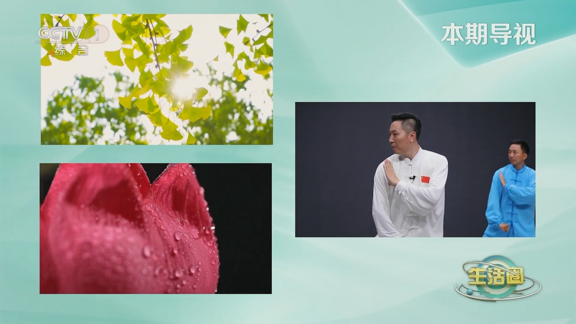 生活圈 《生活圈》 20230913