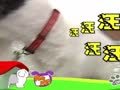 狗狗日记 第138天 我家也有大怪兽