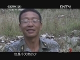 军事纪实 《军事纪实》 20121128 蜀道奇兵