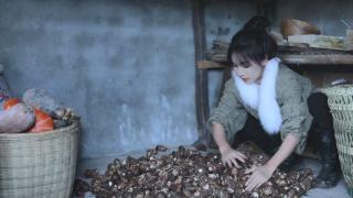 李子柒古香古食 芋头的一生，辣椒…是送的