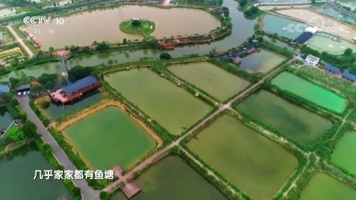 地理中国 《地理中国》 20190521 穿越北回归线 第七集 神奇港湾