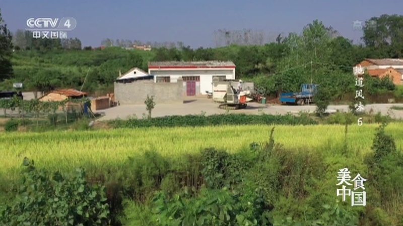 美食中国 《美食中国》 20220719 地道风味（6）