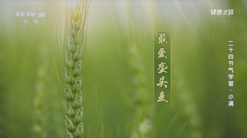 健康之路 《健康之路》 20220521 二十四节气学堂·小满