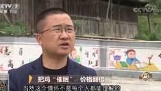 致富经 [致富经]把鸡“催眠” 价格翻倍 20190121
