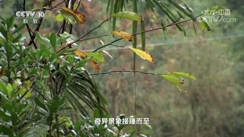 地理中国 《地理·中国》 20200521 会“打雷”的山洞