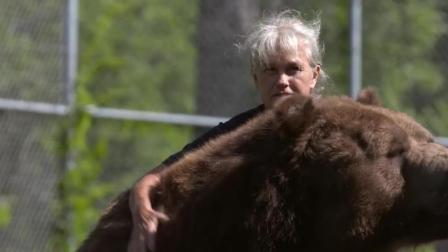 养了21年的熊会撒娇 680公斤身躯居然要让主人抱