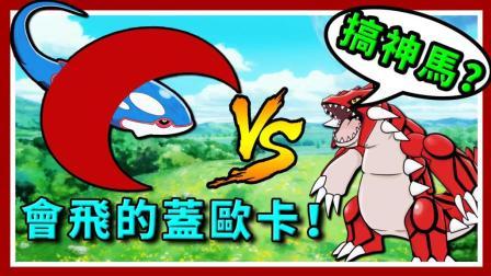 酷爱精灵宝可梦 第一季 搞神马 固拉多的新对手 会飞的盖欧卡
