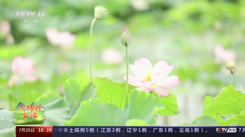 《走进乡村看小康》 20210725