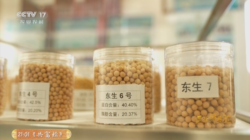 《三农群英汇》 20260409 大豆寻种记