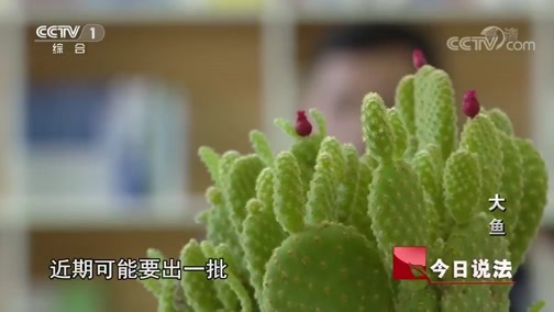 今日说法 《今日说法》 20190527 大鱼
