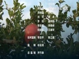 环球经济连线 《环球财经连线》 20160922