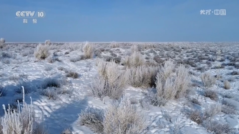 地理中国 《地理·中国》 20260228 冰雪瑞丰年13