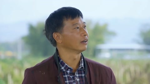 挖断的淮山变身种子不浪费 原汁原味口感丰富