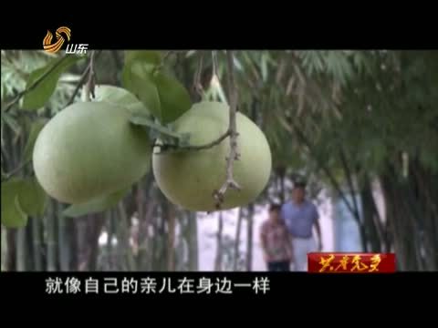 共产党员 《共产党员》 20150227