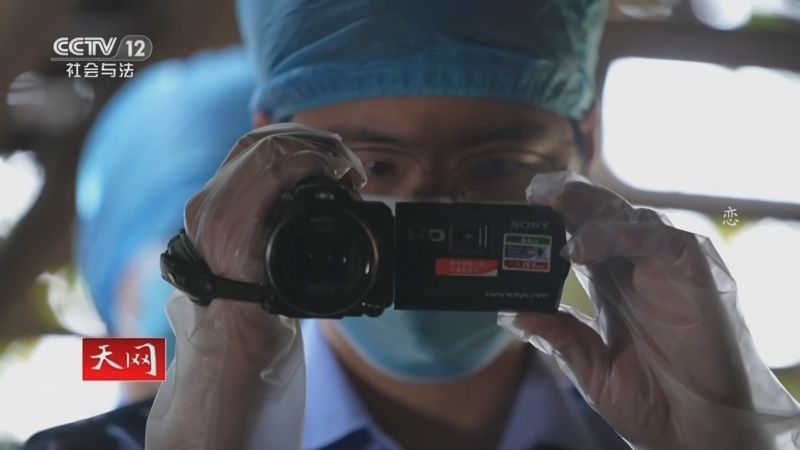 《天网》 20260401 畸恋（上）