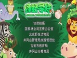 绿野寻踪 《绿野寻踪》 20170621