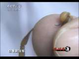 生财有道 十足全蝎 十足赚钱 2010-12-28