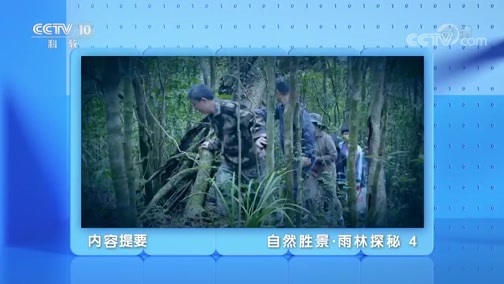 地理中国 《地理·中国》 20200326 自然胜景·雨林探秘 4