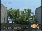 道德观察 季琴求医记