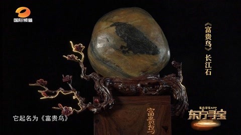 赏石里的百态人生