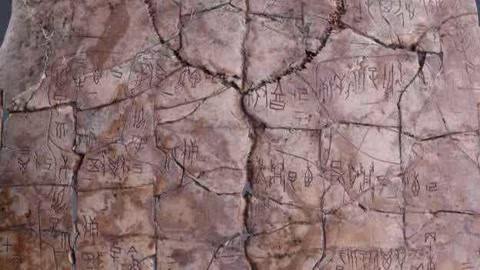 一席&middot;万象 唐际根：龟甲上的文字