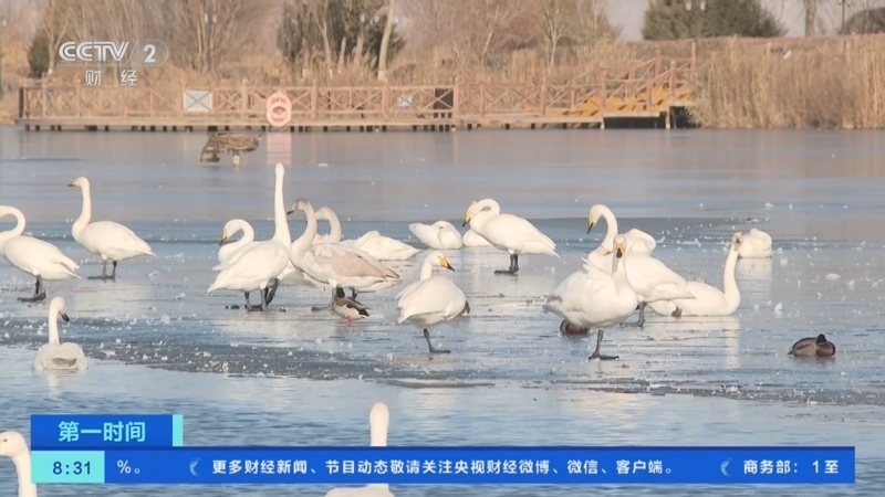 《第一时间》 20251204 2/2