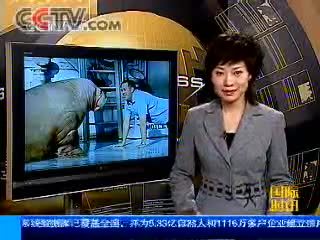 动物世界 [视频]圣迭戈动物世界  帮动物明星减肥