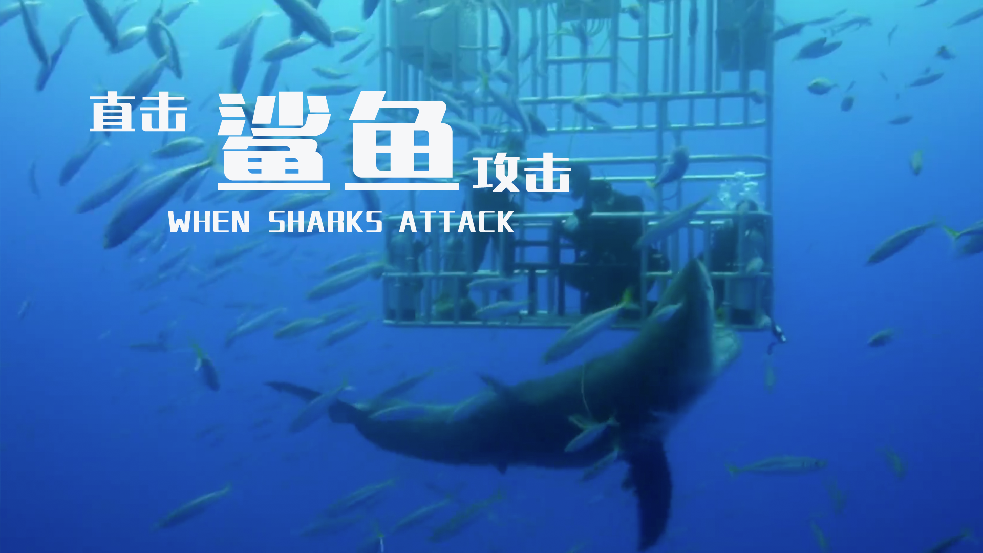 澳大利亚夺命海岸