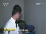 生财有道 《生财有道》 20170413 咱们家乡春天美——陕西洛南：踏青赏春财富多