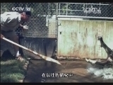 地理中国 《地理中国》 20131227 极限科考-死亡博弈（上）