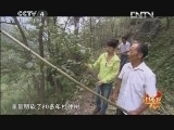 远方的家 北纬30°·中国行 第七十一集 张家界 武陵人家《远方的家》 20121003