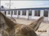 生财有道 [生财有道]八零后的逐鹿人生(20130313)