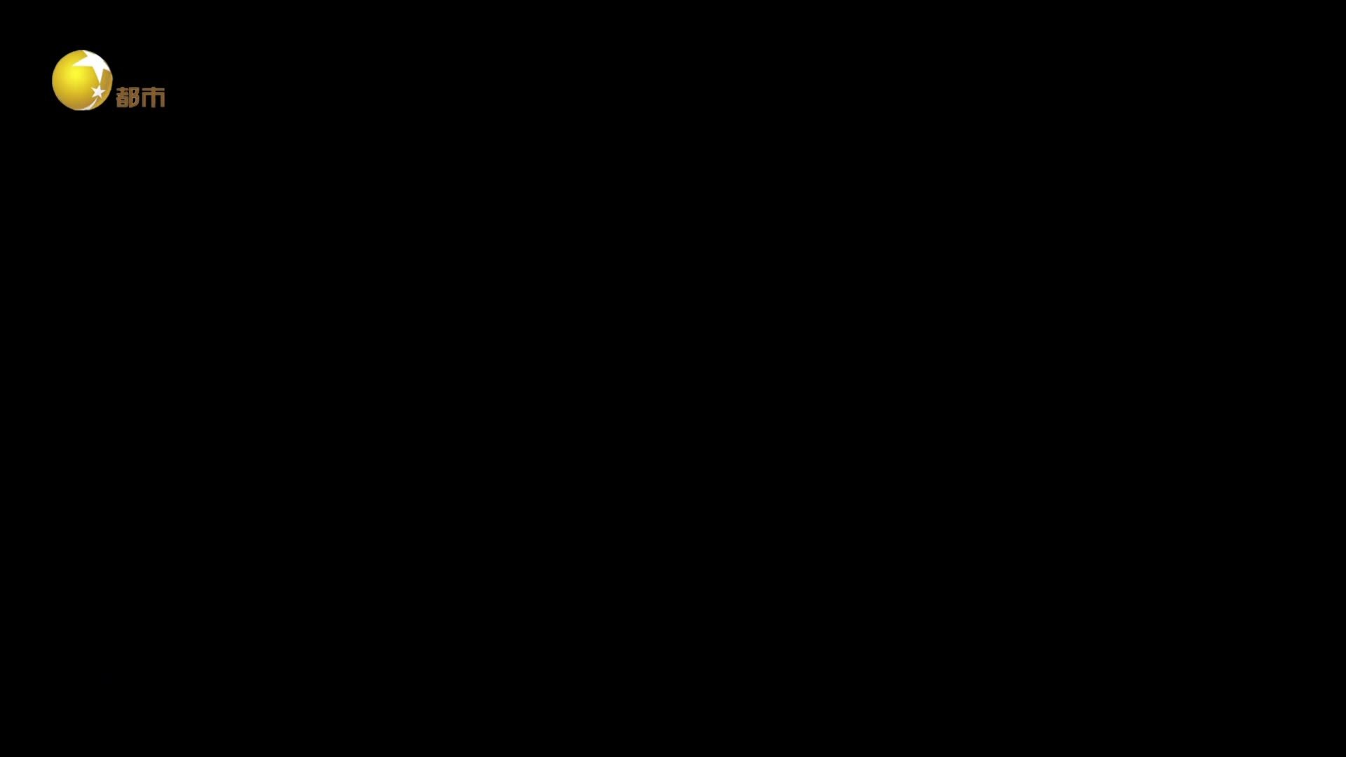 伟大的长征 《伟大的长征》第2集