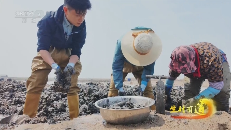 生财有道 《生财有道》 20250515 蛏链山海 金缀长街