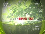 地理中国 《地理中国》 20170212 圣花奇缘