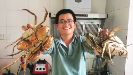 赶海抓回来的大青蟹，渔夫拿4只煮海鲜粥，实在鲜美！