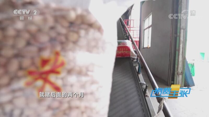 消费主张 《消费主张》 20201021 原产地访价格：新花生上市 价格走势如何？