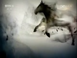 生财有道 《生财有道》 20170717 生态中国系列（沿海行）——河北乐亭：海洋牧场财富多