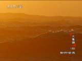 动物世界 动物世界 2010年 第62期