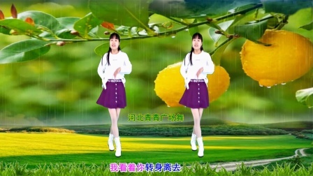 广场舞《有没有一种思念永不疲惫》附教学