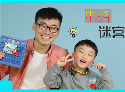 方大手不吃鱼 2017 电路迷宫