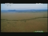 人与自然 《人与自然》 20130429 狮群争霸（上）