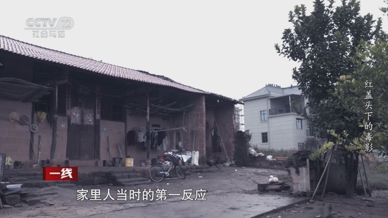 《一线》 20250519 红盖头下的毒影