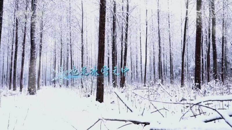 音乐公开课 《音乐公开课》 20231224 聆听二十四节气·冬