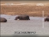 地理中国 《地理中国》 20131219 极限科考-泥沼中的对峙