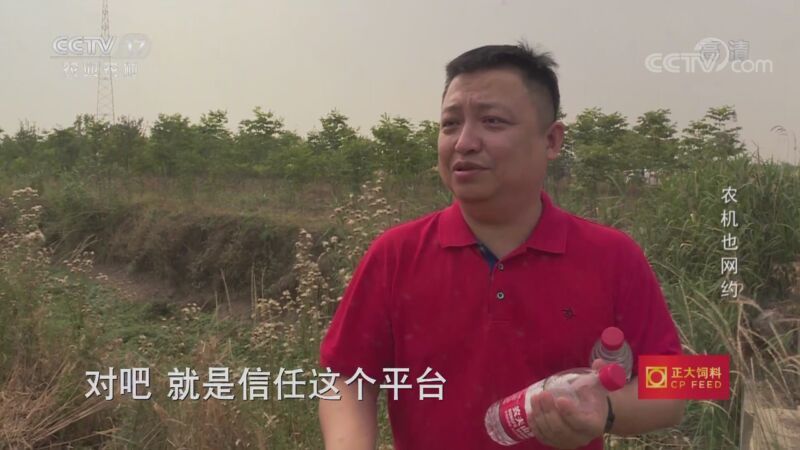 三农群英汇 《三农群英汇》 20201009 农机也网约